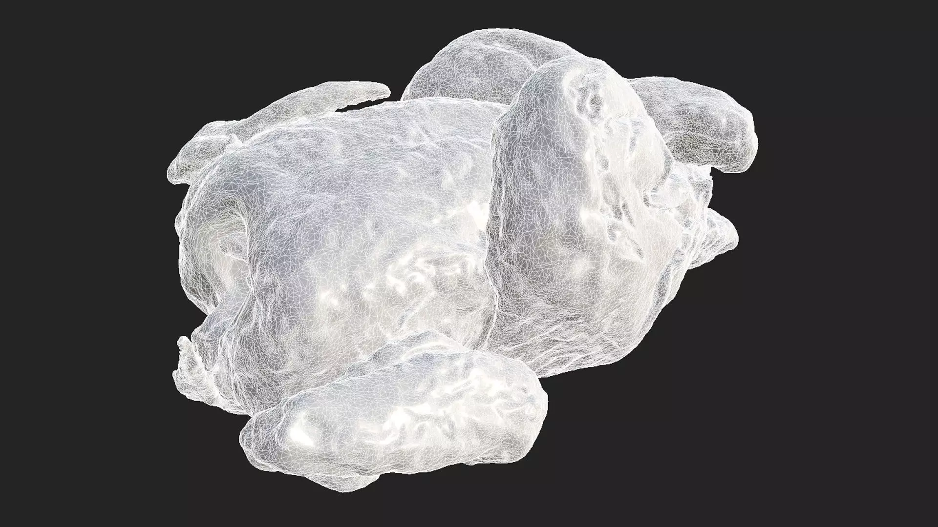 Chicken and a Parts Low-poly 3D model_11