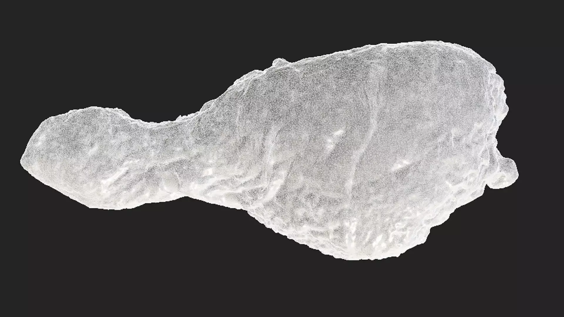 Chicken and a Parts Low-poly 3D model_21