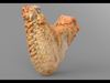 Chicken and a Parts Low-poly 3D model_3