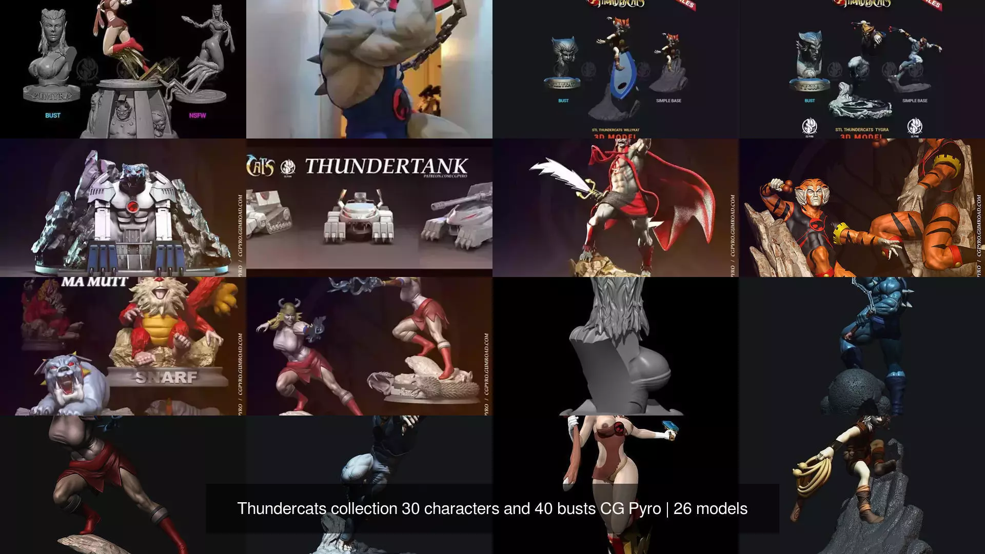 Thundercats collection 30 characters and 40 busts CG Pyro _7