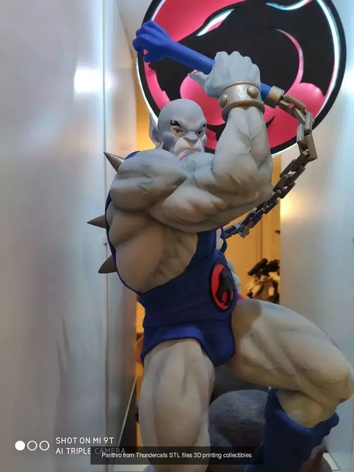 Thundercats collection 30 characters and 40 busts CG Pyro _26
