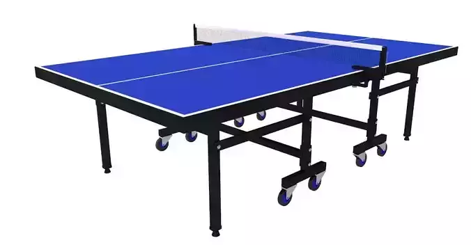 Tennis Table