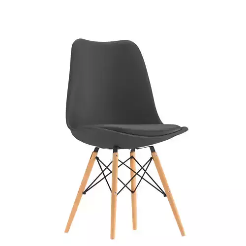 Plastic Chairs with Cushion 