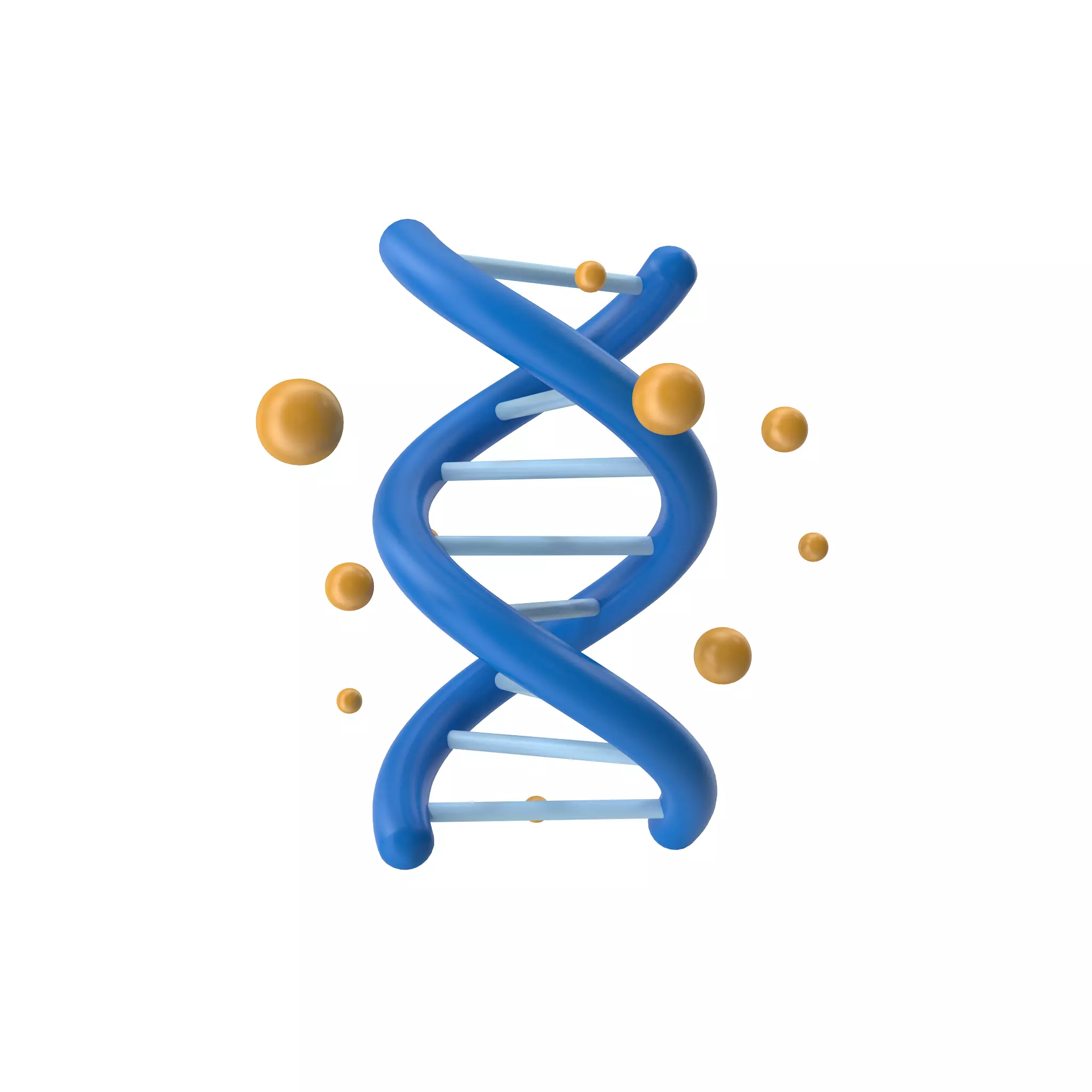 DNA Cell 3D model