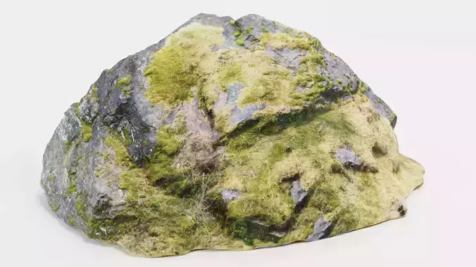 Rock with Moss - Scanned