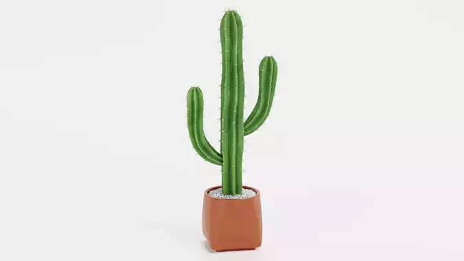 Saguaro Cactus Pot