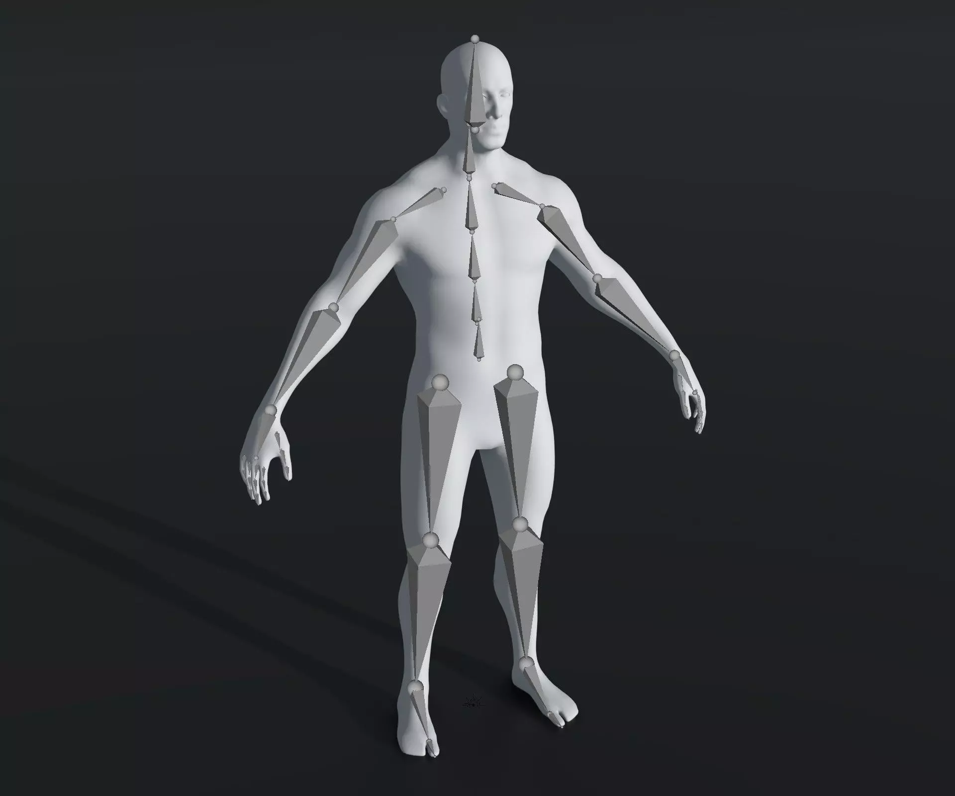 Human Body Base Mesh 28 Animations 10 3D Models 76 Sound Effects Low-poly 3D model_15