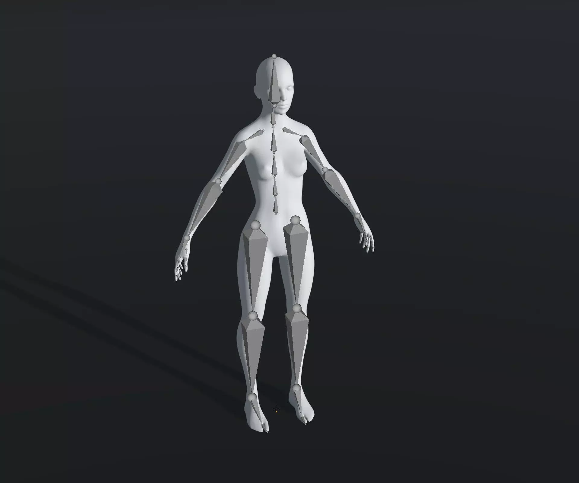 Human Body Base Mesh 28 Animations 10 3D Models 76 Sound Effects Low-poly 3D model_18