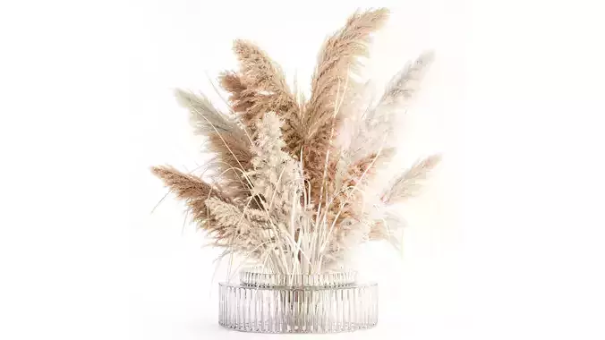 Dried flower bouquet branches cortaderia pampas vase glass
