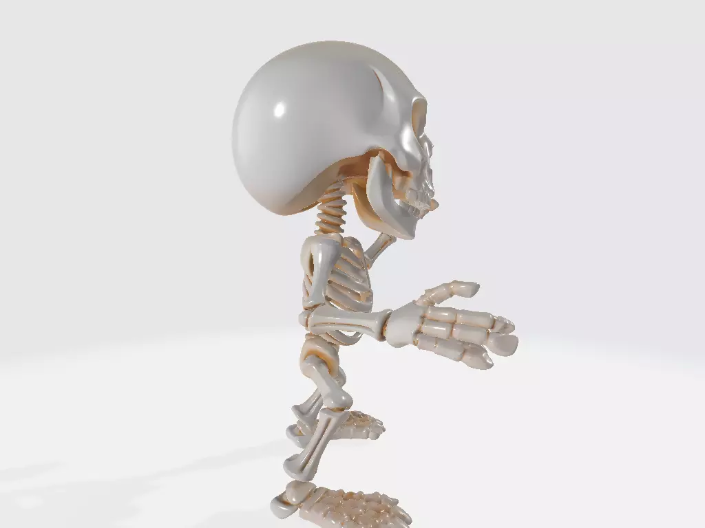 Skeleton Model 01 3D print model_3