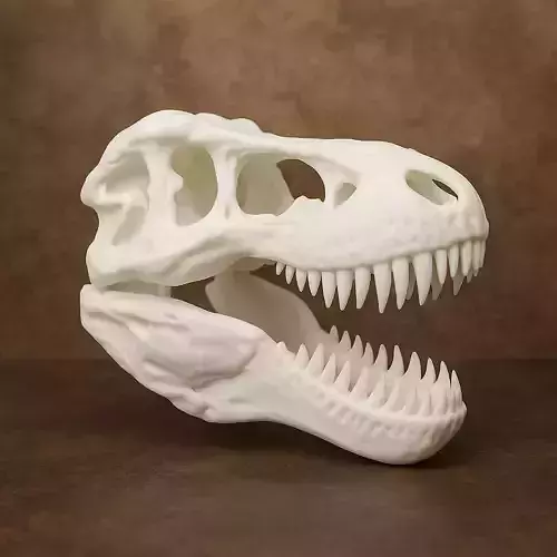 Tyrannosaurus Rex