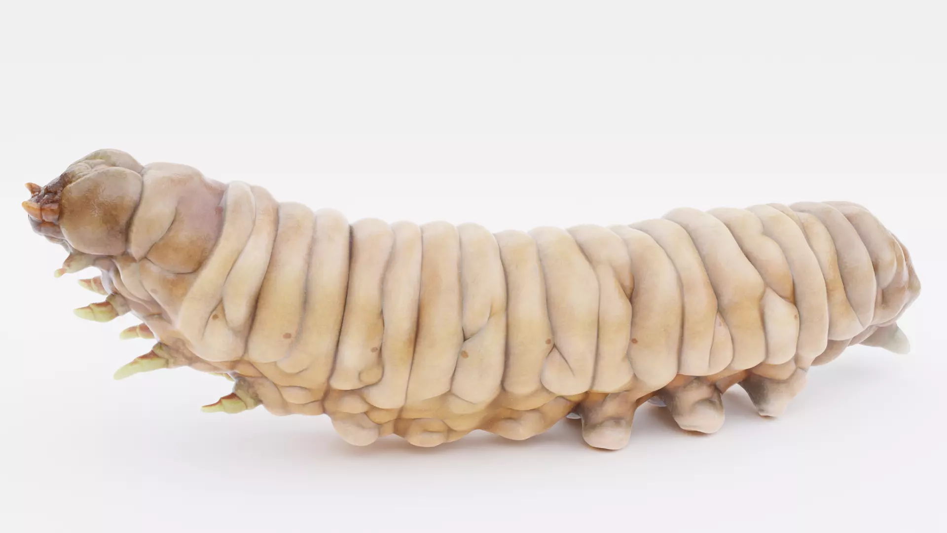 Wax Worm - Detailed Plastic Eater Rigged Low-poly 3D model_15