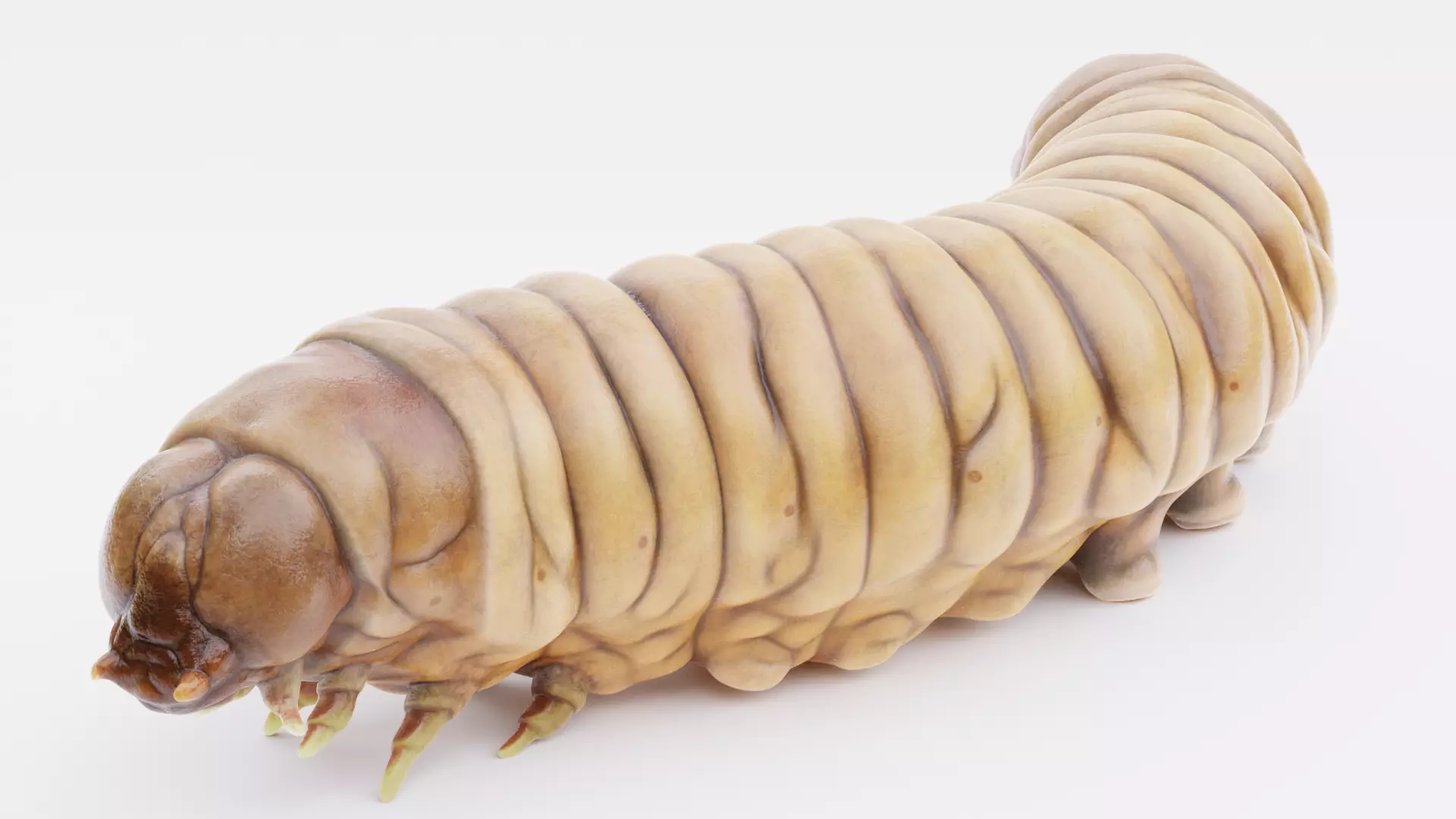 Wax Worm - Detailed Plastic Eater Rigged Low-poly 3D model_3