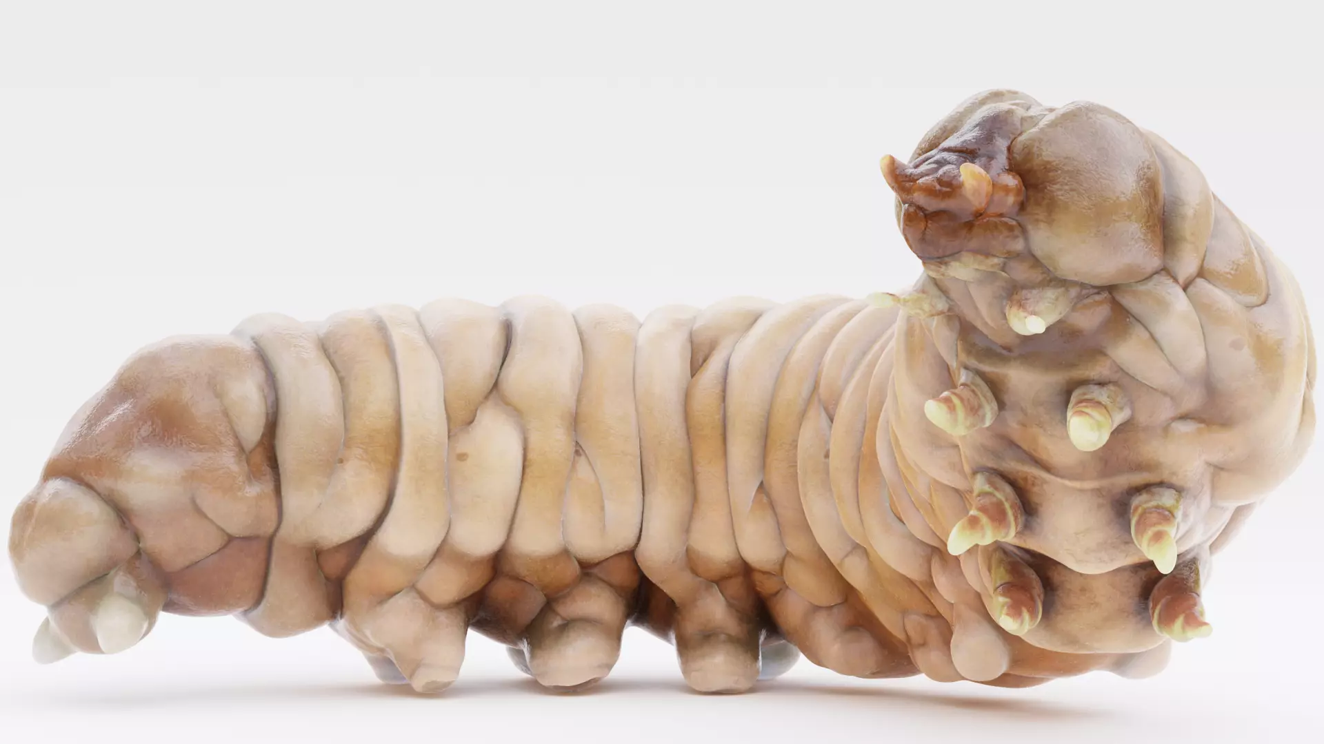 Wax Worm - Detailed Plastic Eater Rigged Low-poly 3D model_17