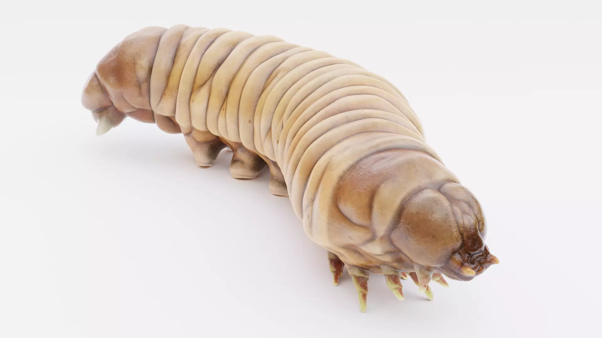 Wax Worm - Detailed Plastic Eater Rigged Low-poly 3D model_1