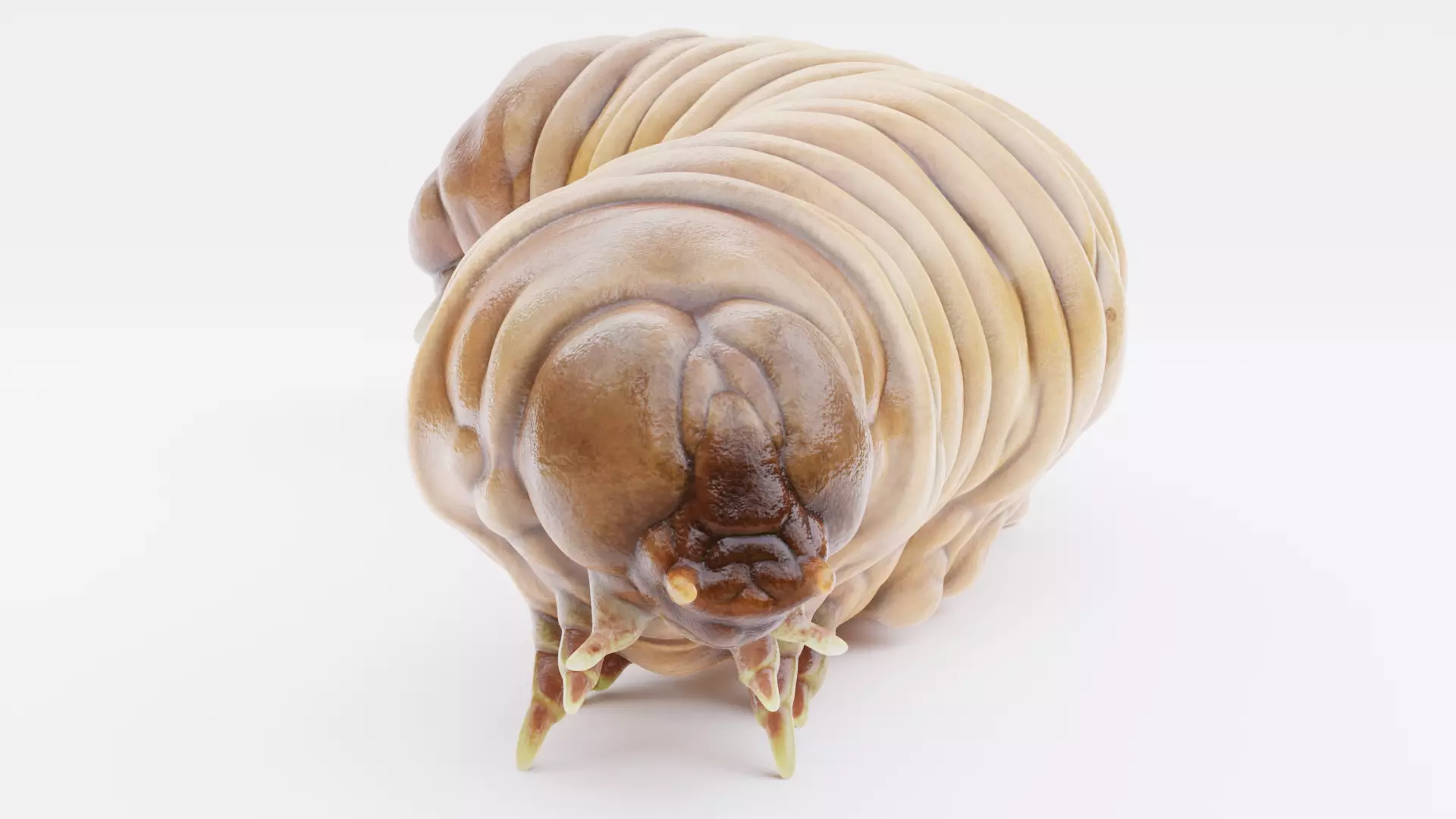 Wax Worm - Detailed Plastic Eater Rigged Low-poly 3D model_4