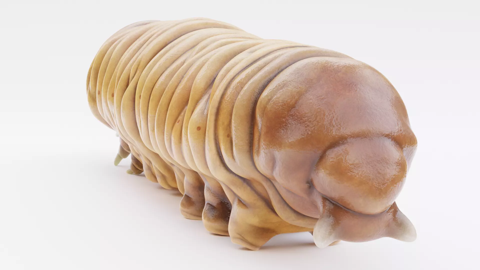 Wax Worm - Detailed Plastic Eater Rigged Low-poly 3D model_12