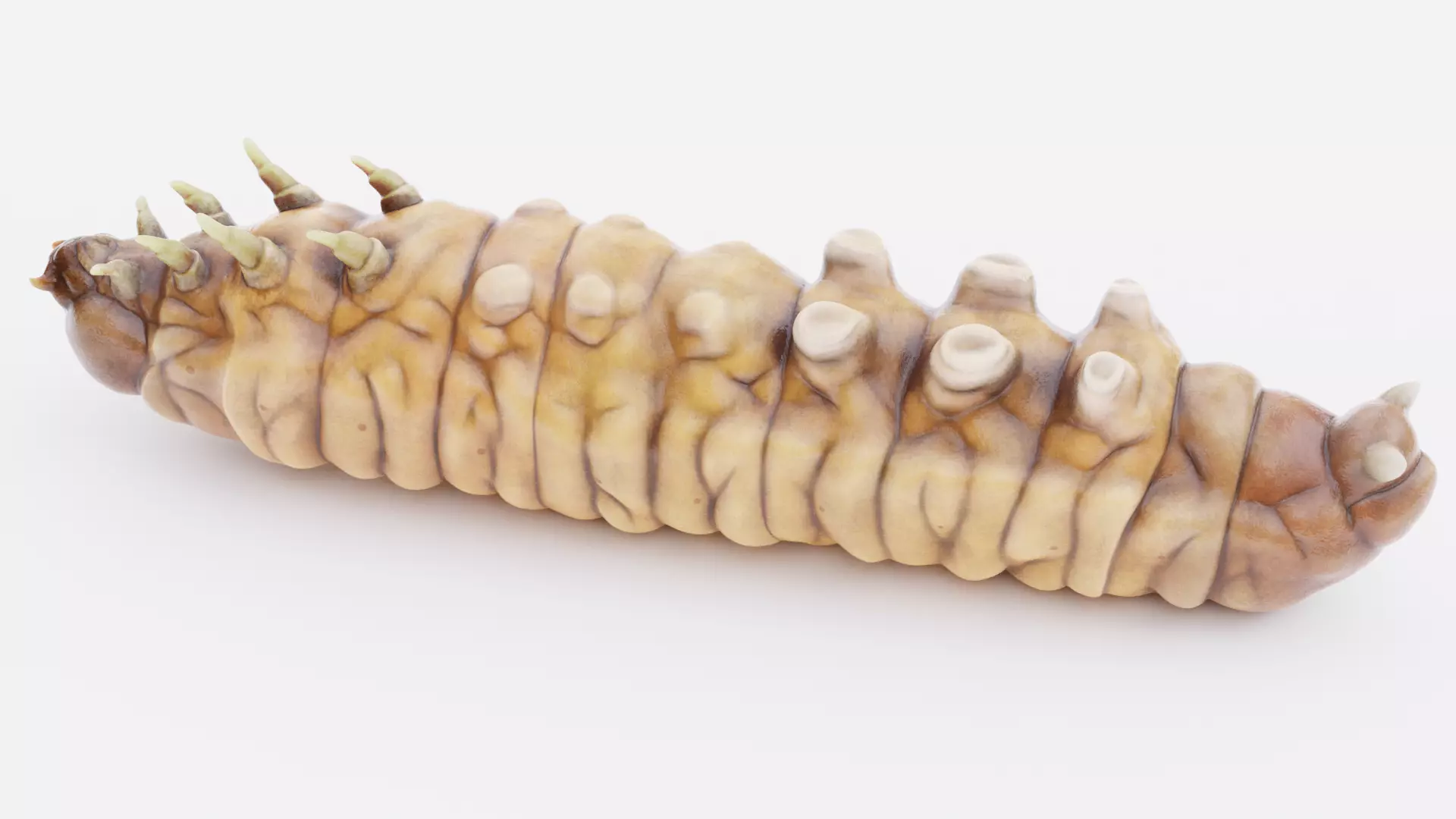 Wax Worm - Detailed Plastic Eater Rigged Low-poly 3D model_8
