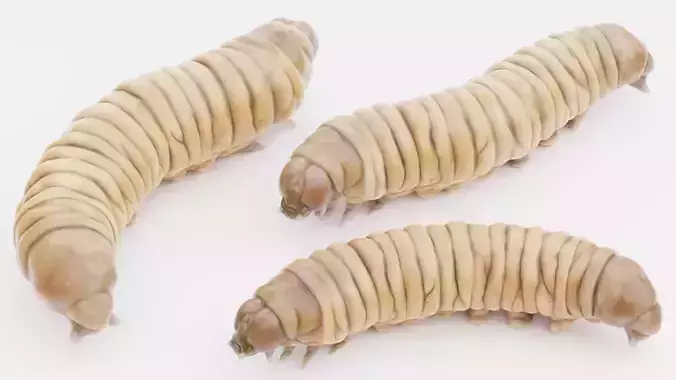 Wax Worms Collection - Plastic Eaters Rigged