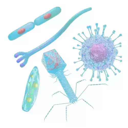 Animated microbes 16-20 