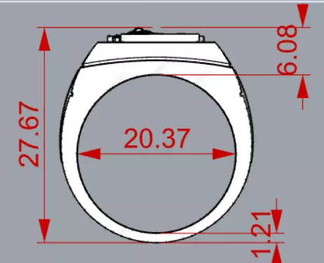 Lion and Sun Signet stl 3dm  Ring model mr0320 3D print model_19