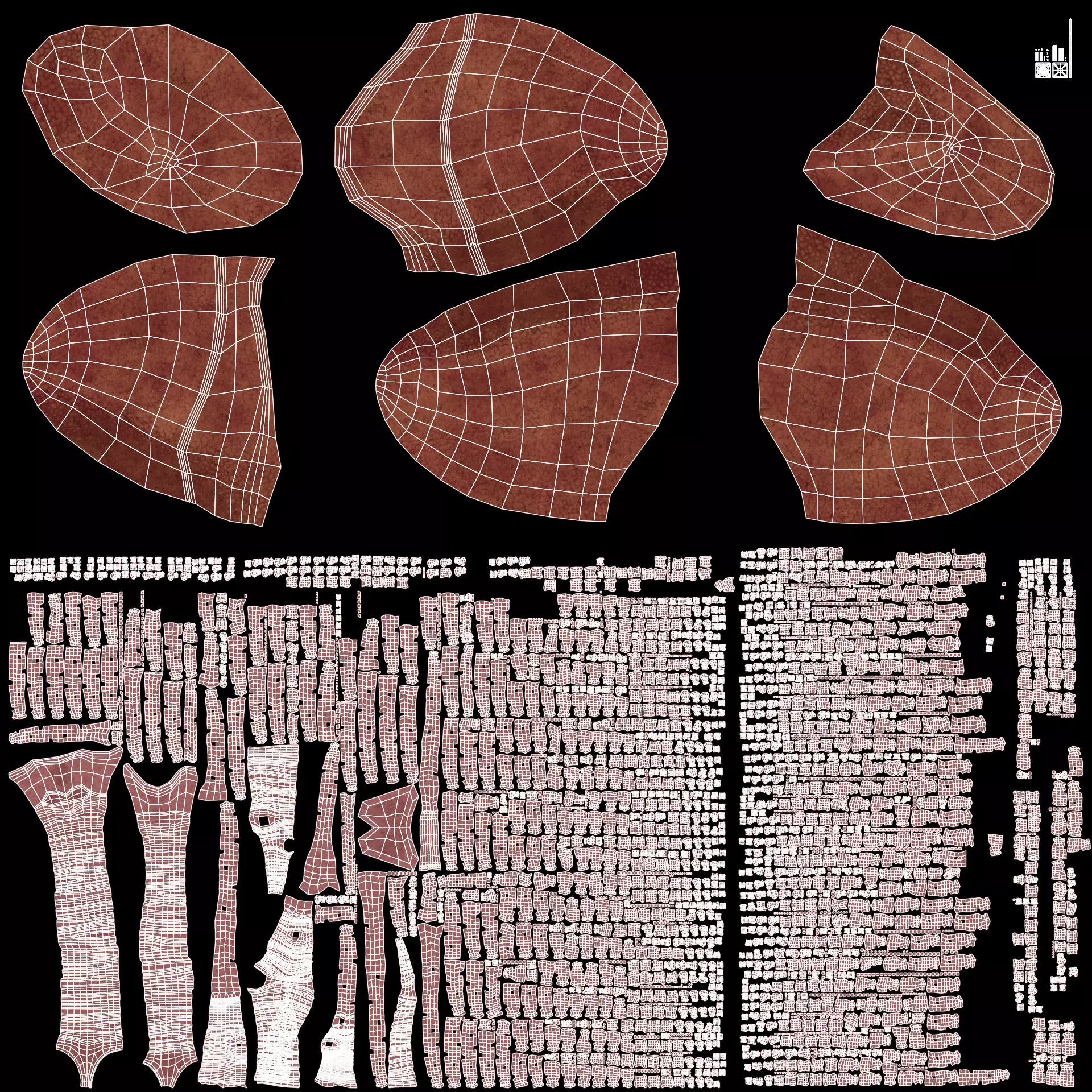 -Anatomy Models- Low-poly 3D model_20