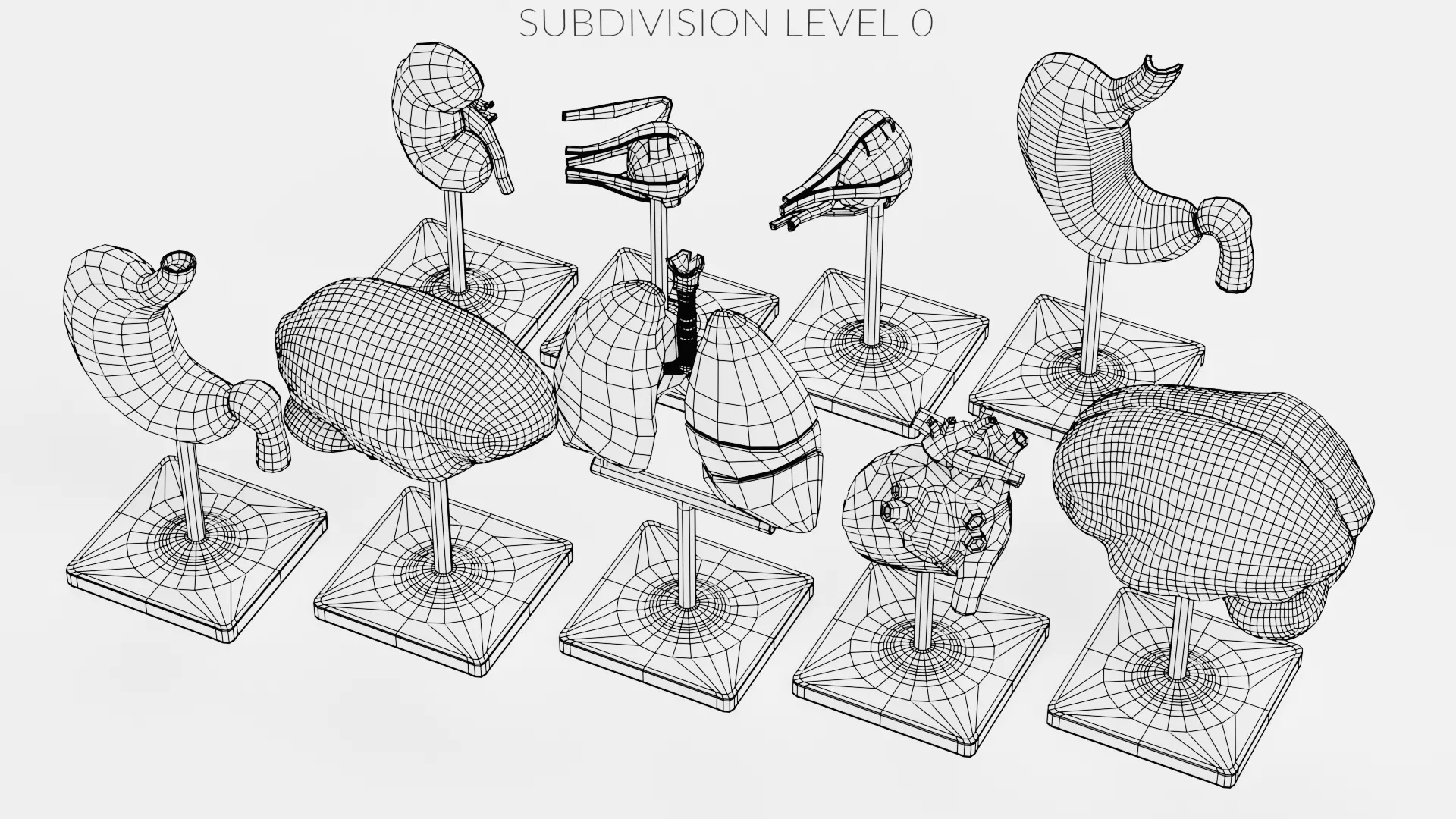 -Anatomy Models- Low-poly 3D model_26