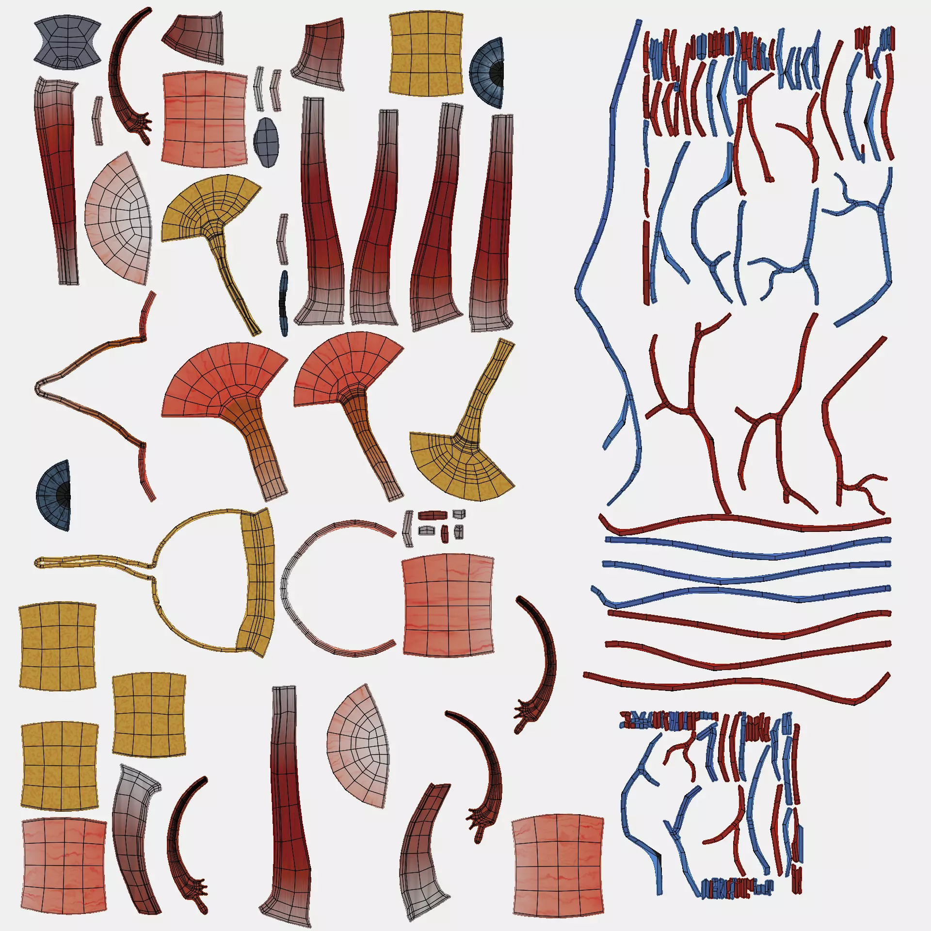 -Anatomy Models - Cross Sections- Low-poly 3D model_10