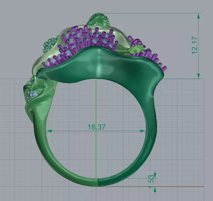 Magerit ring  3D print model_6