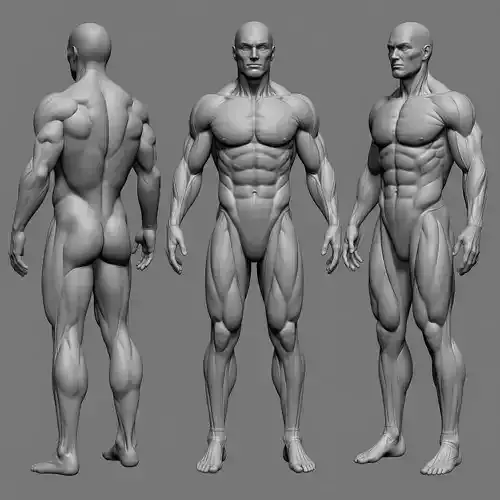 3D Male Character Sculpt