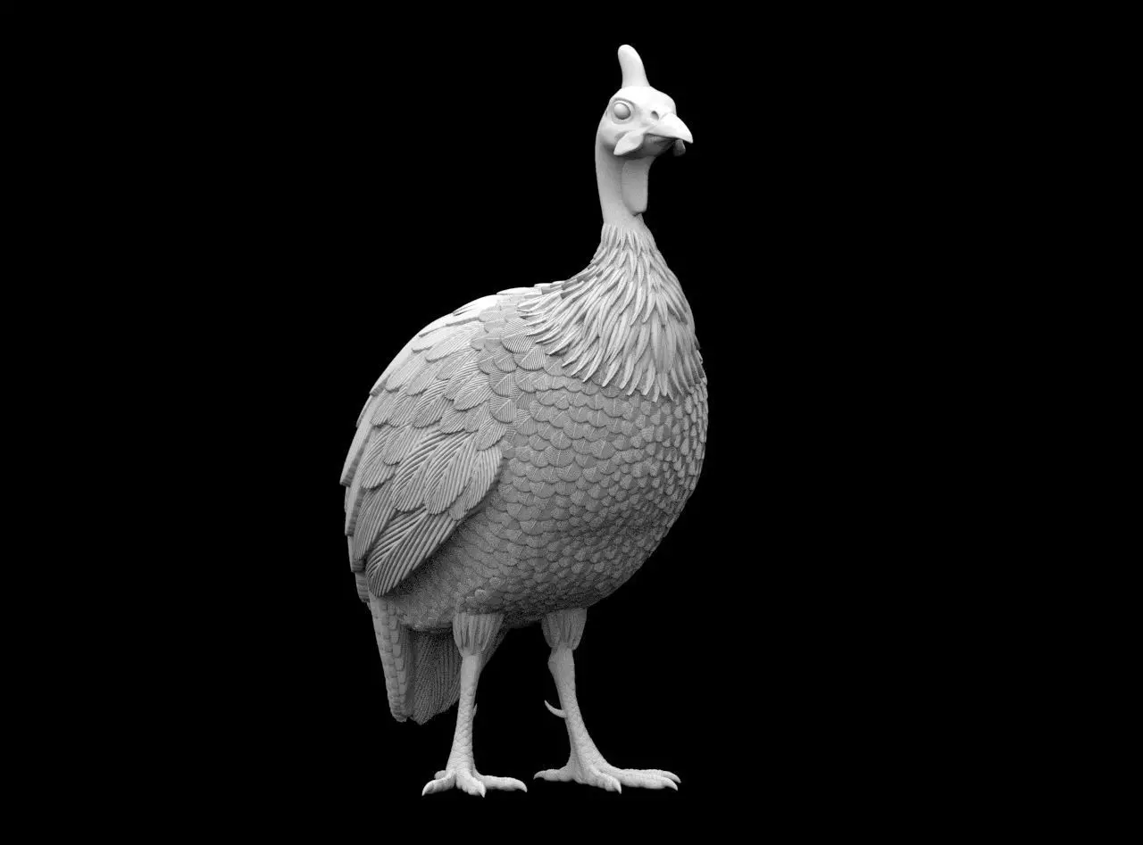 guinea fowl 3D print model_37
