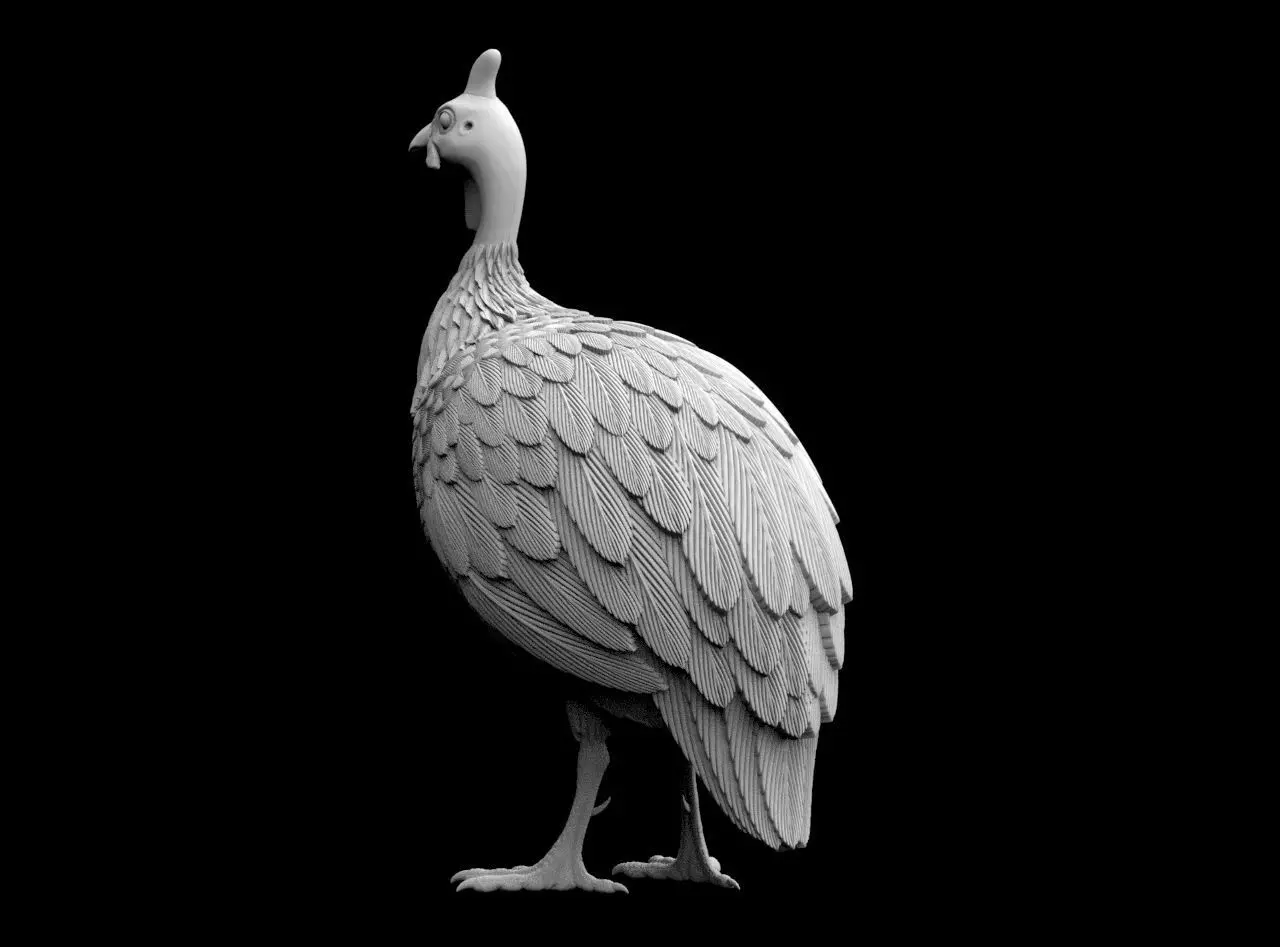 guinea fowl 3D print model_41