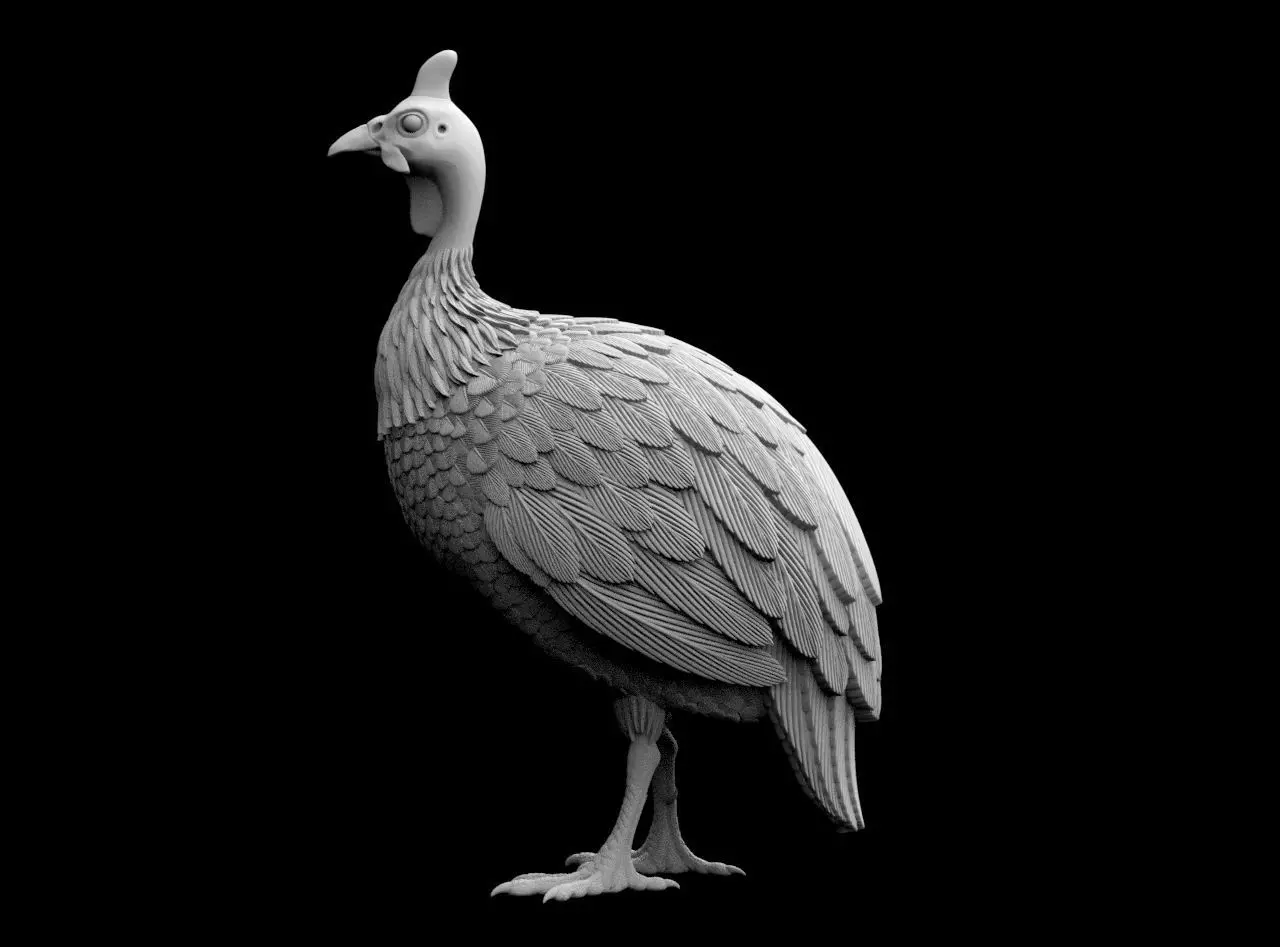 guinea fowl 3D print model_32