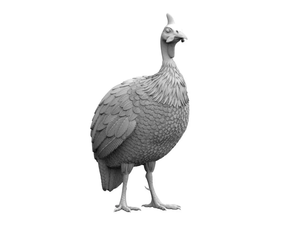 guinea fowl 3D print model_53