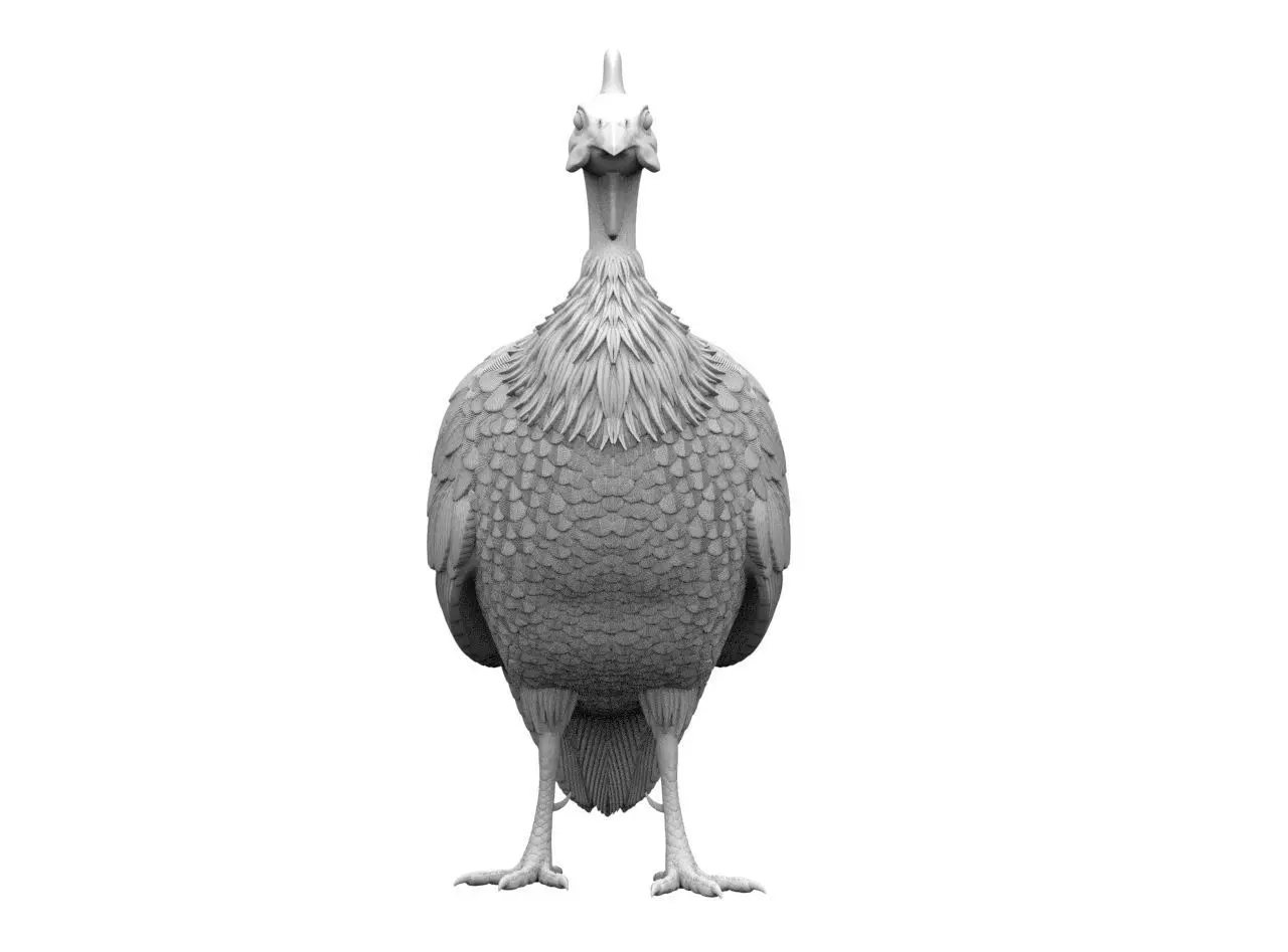 guinea fowl 3D print model_35