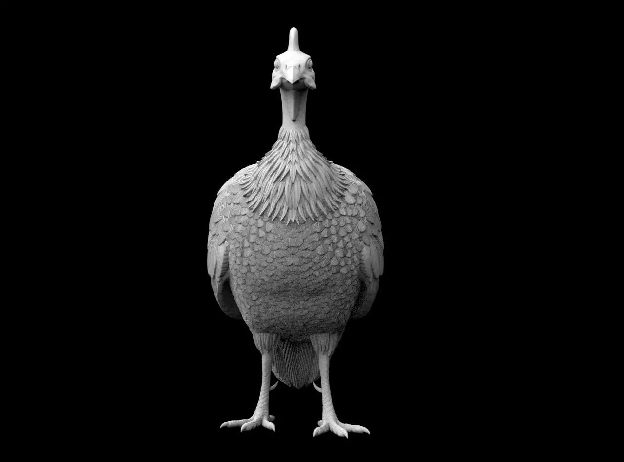 guinea fowl 3D print model_40