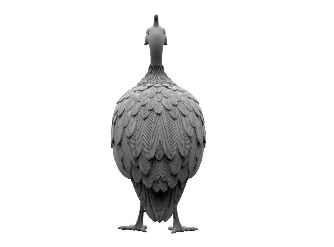 guinea fowl 3D print model_55