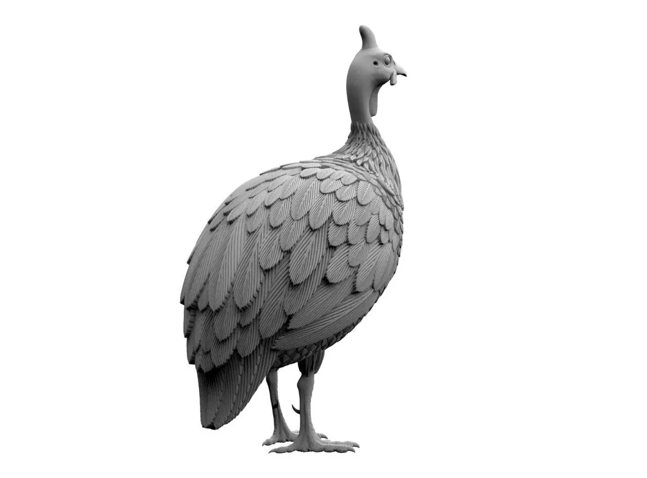 guinea fowl 3D print model_8