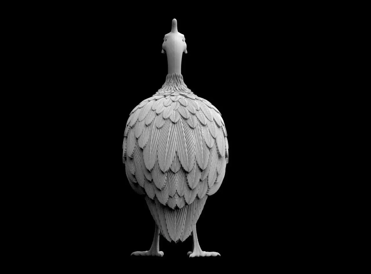 guinea fowl 3D print model_57