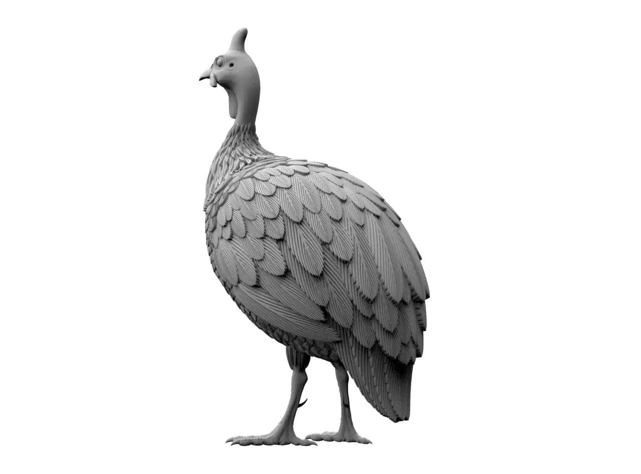 guinea fowl 3D print model_52