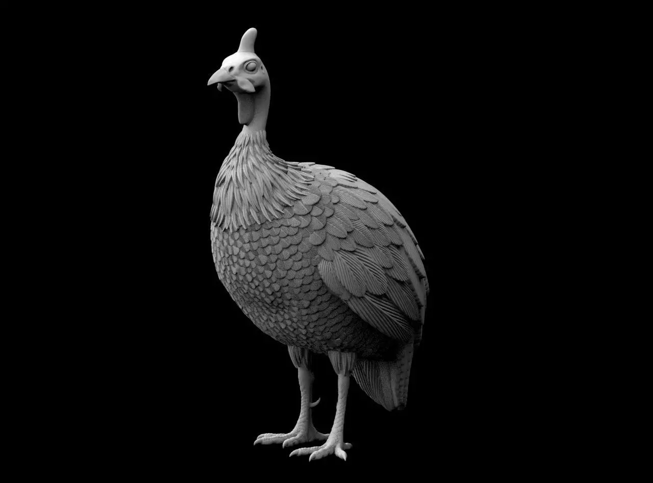 guinea fowl 3D print model_33