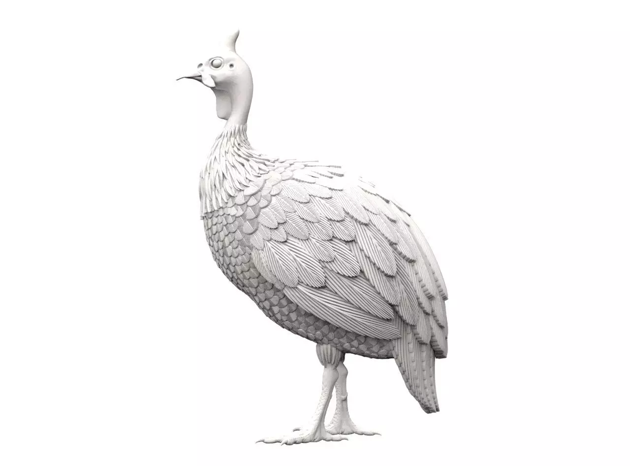 guinea fowl 3D print model_18