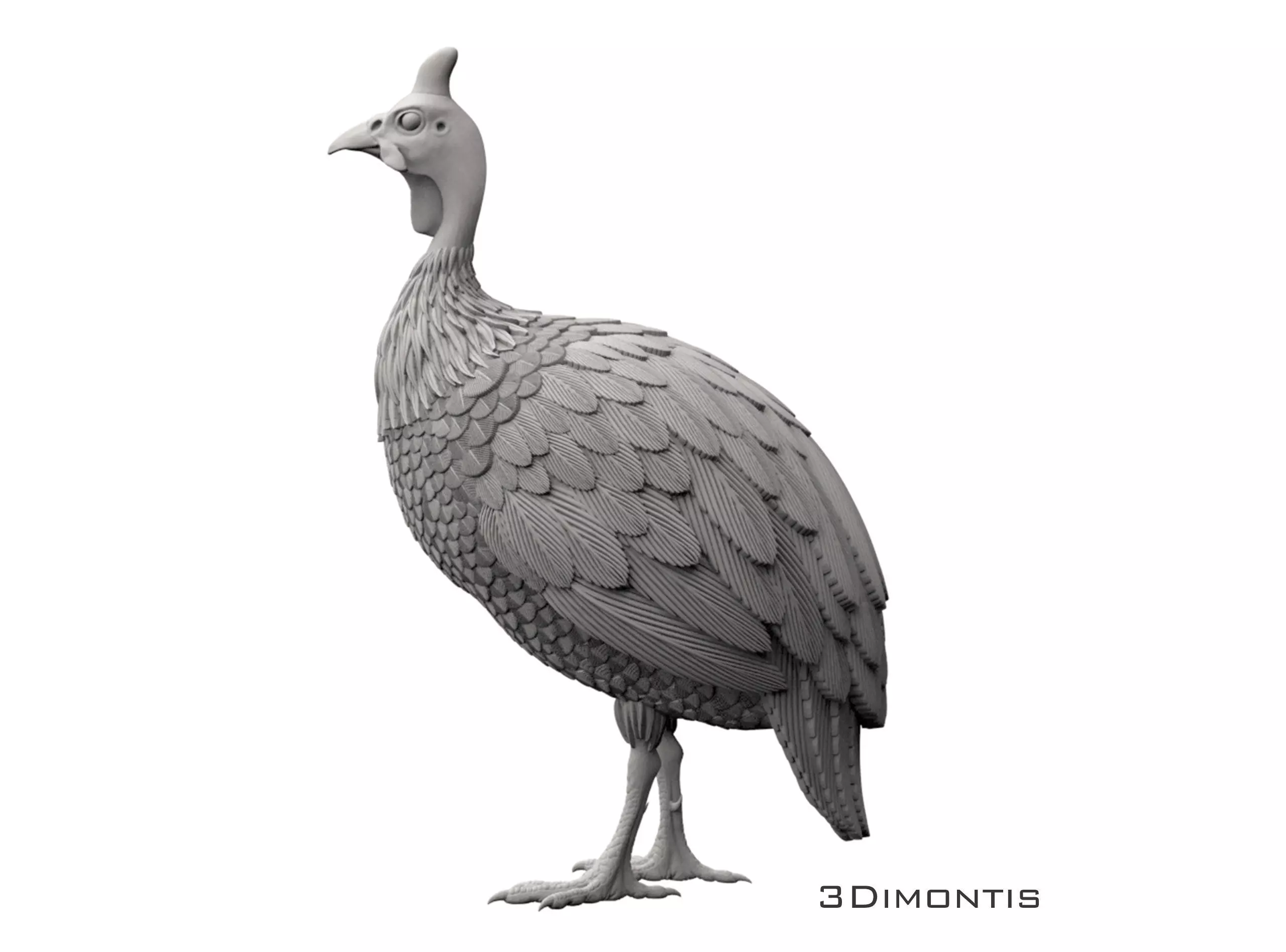 guinea fowl 3D print model_0