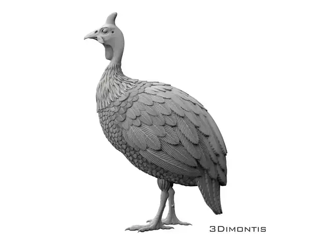 guinea fowl 3D print model