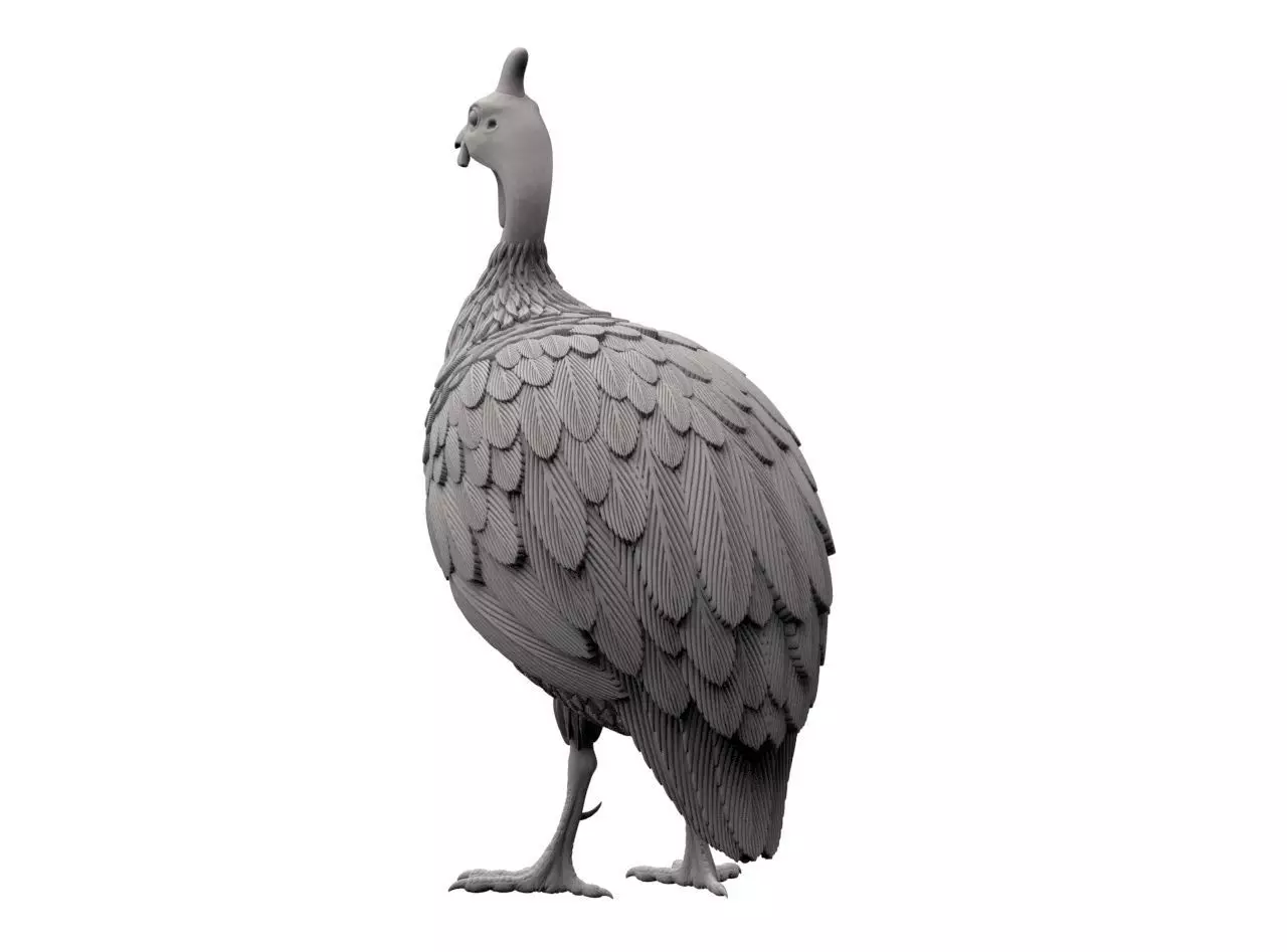 guinea fowl 3D print model_15