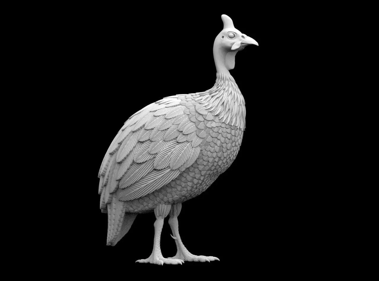 guinea fowl 3D print model_38