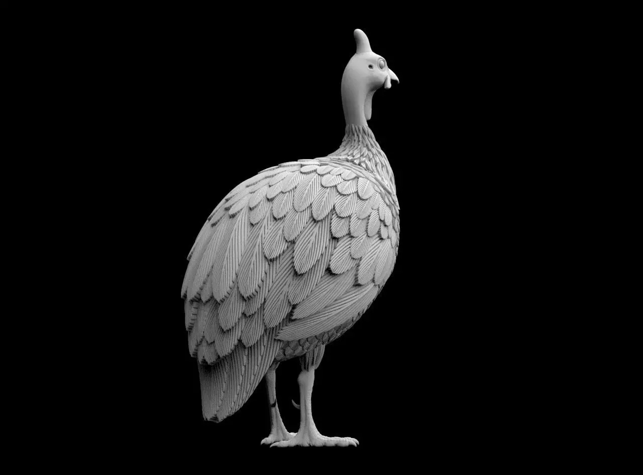 guinea fowl 3D print model_39