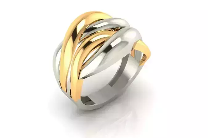 Free Two-Tone Modern Ring