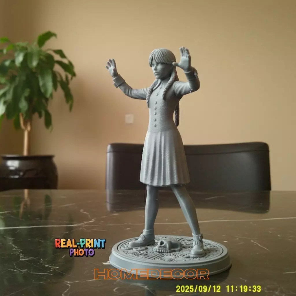 Wednesday 3D print model_1
