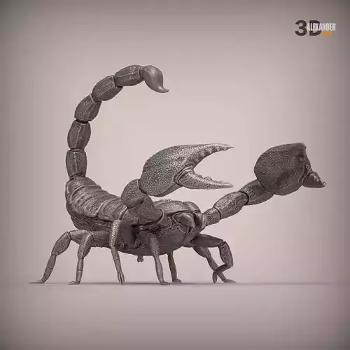 Emperor Scorpion
